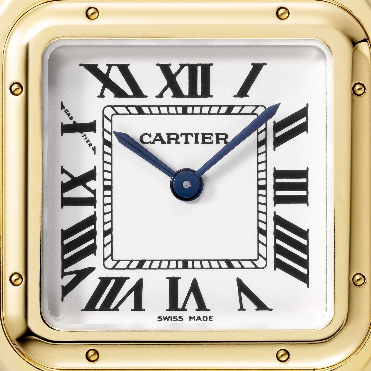 Panthère de Cartier Medium Model | 29mm, 18K Yellow Gold, Silver Dial